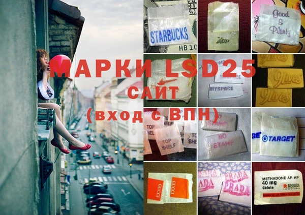 ГАЛЛЮЦИНОГЕННЫЕ ГРИБЫ Медногорск